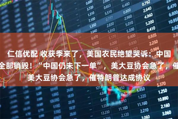 仁信优配 收获季来了，美国农民绝望哭诉：中国不买了，我只能全部销毁！“中国仍未下一单”，美大豆协会急了，催特朗普达成协议