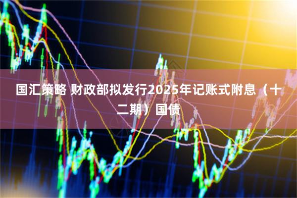 国汇策略 财政部拟发行2025年记账式附息（十二期）国债