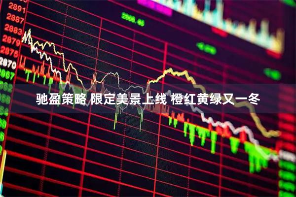 驰盈策略 限定美景上线 橙红黄绿又一冬