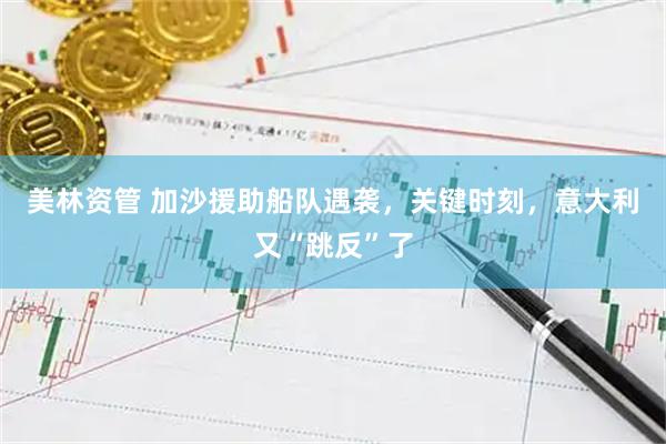 美林资管 加沙援助船队遇袭，关键时刻，意大利又“跳反”了