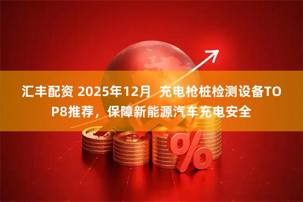 汇丰配资 2025年12月  充电枪桩检测设备TOP8推荐，保障新能源汽车充电安全